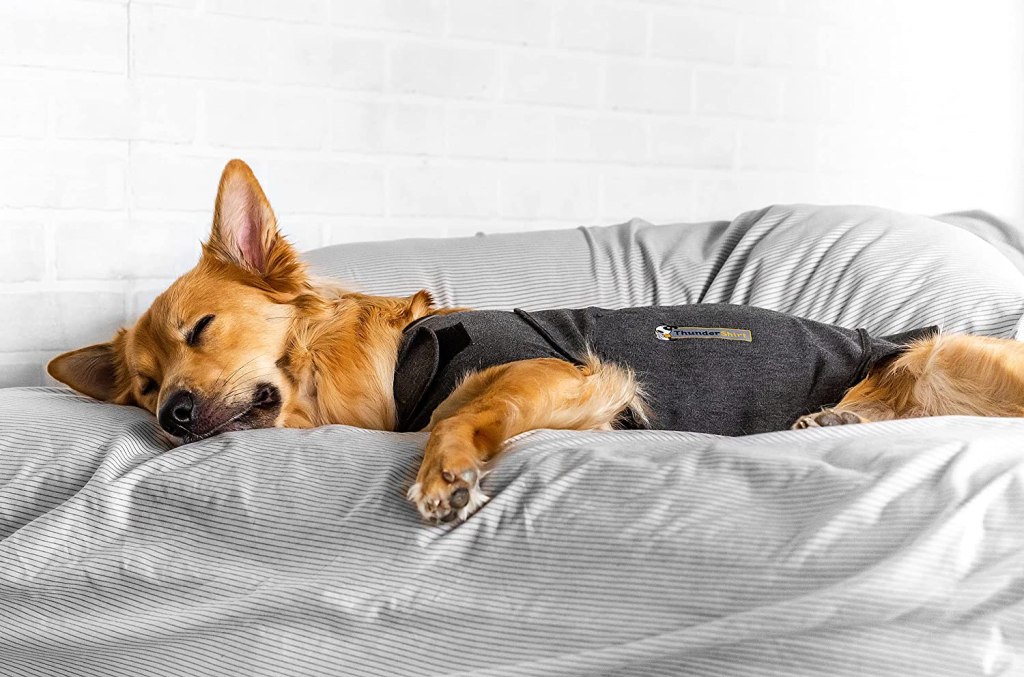 best anxiety vest for dogs