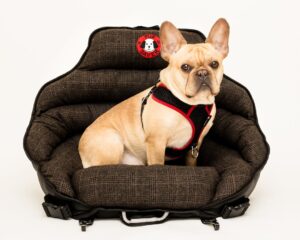 crash tested dog car seat